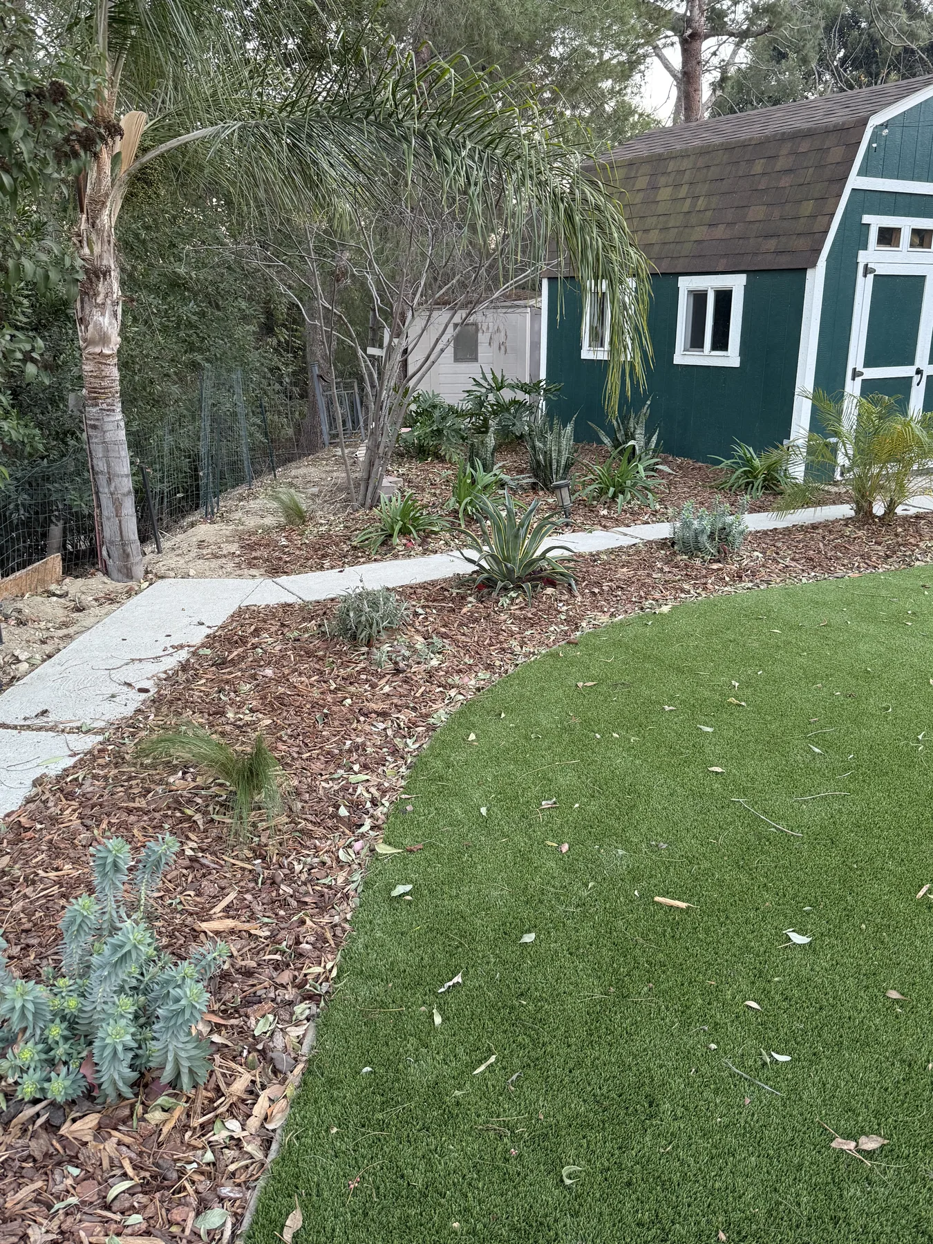 Full backyard build with lawn, planting and lighting