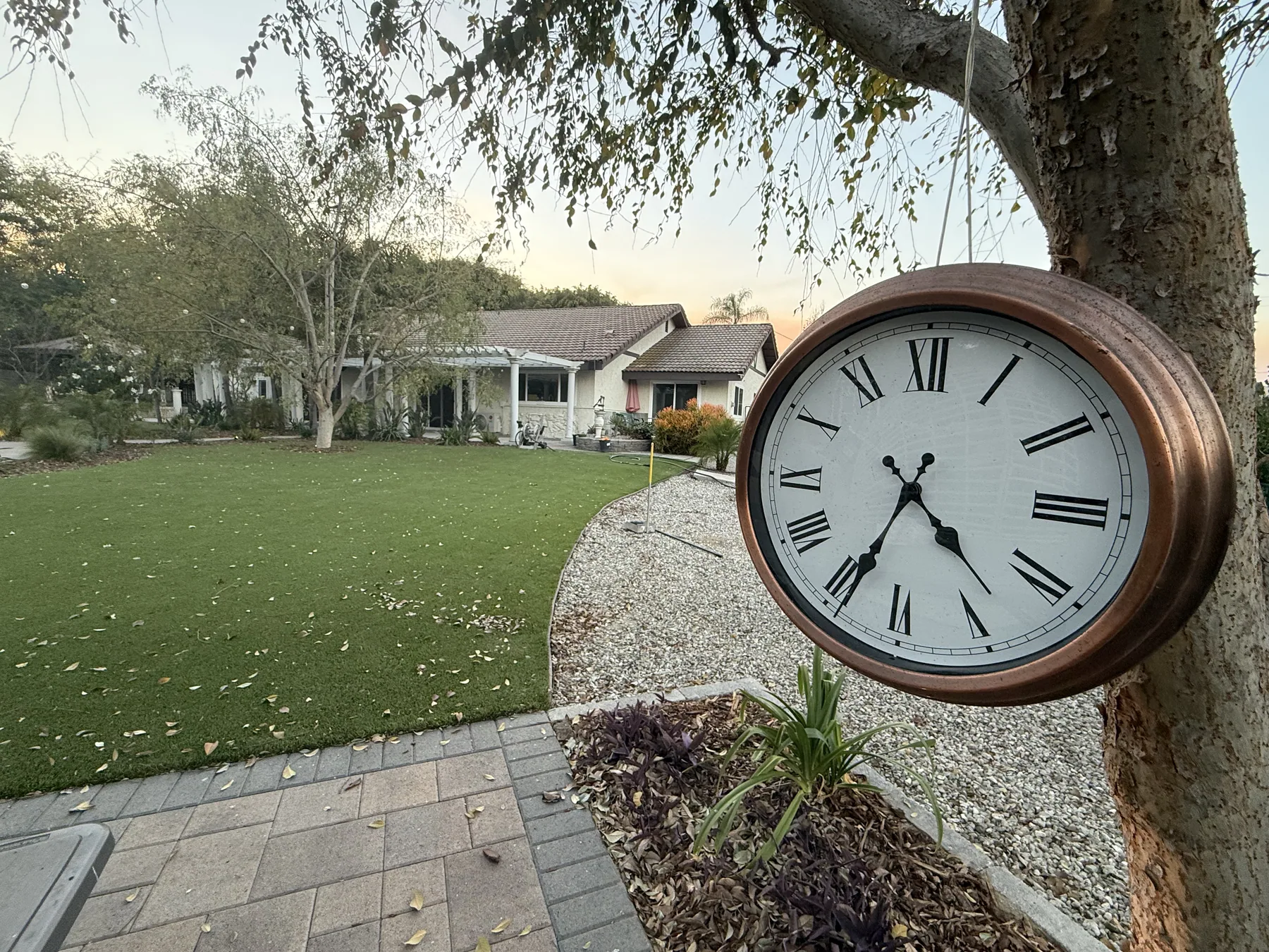 Turf lawn with paver border and planting