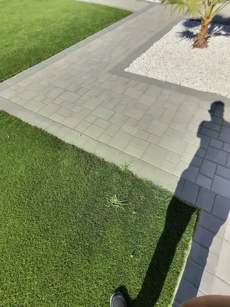 Close view of a paver border where it meets turf and gravel