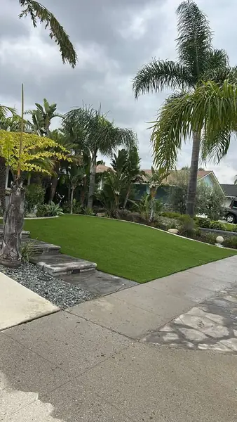 Turf front yard with palms and a paver path
