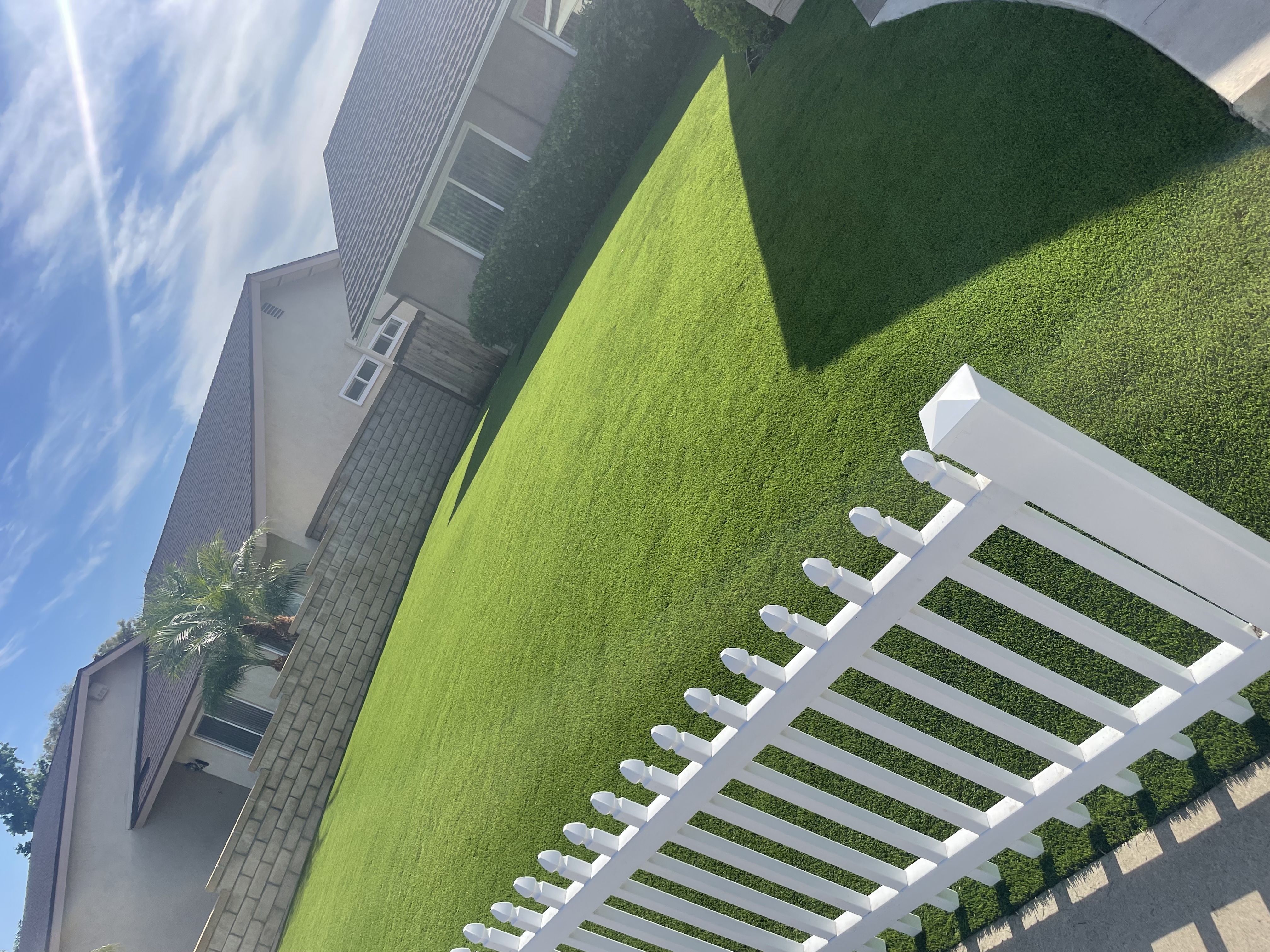 Green turf backyard