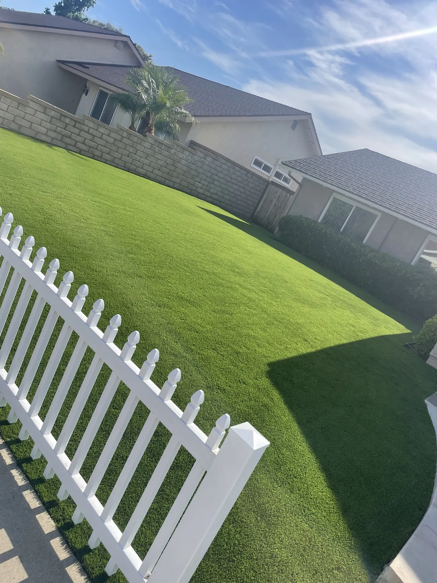Green turf backyard